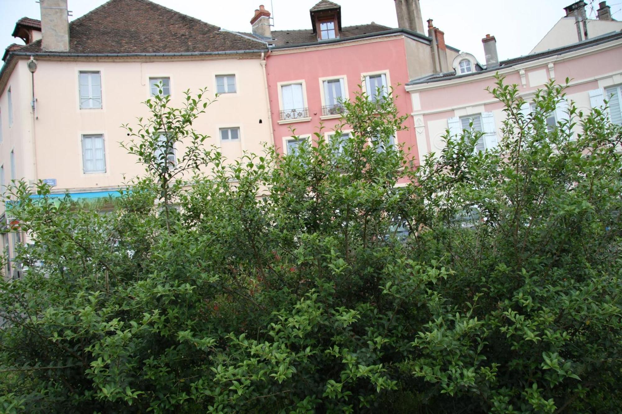 שאלון-סור-סאון Appartement Haut De Gamme Centre Ville מראה חיצוני תמונה